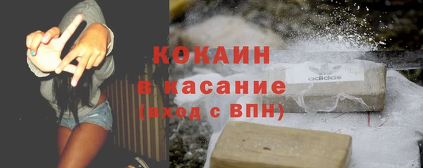 прущие грибы Баксан