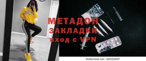 прущие грибы Баксан