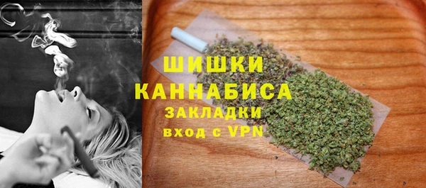 прущие грибы Баксан