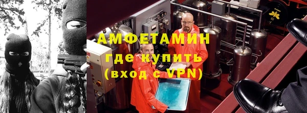 прущие грибы Баксан
