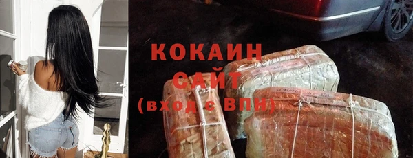 прущие грибы Баксан