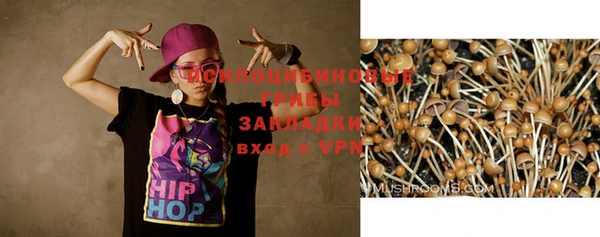 прущие грибы Баксан
