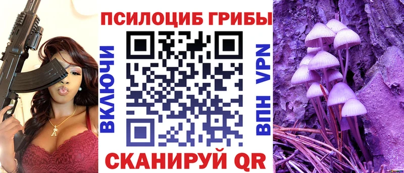 купить наркоту  Нижнеудинск  omg   Псилоцибиновые грибы GOLDEN TEACHER 